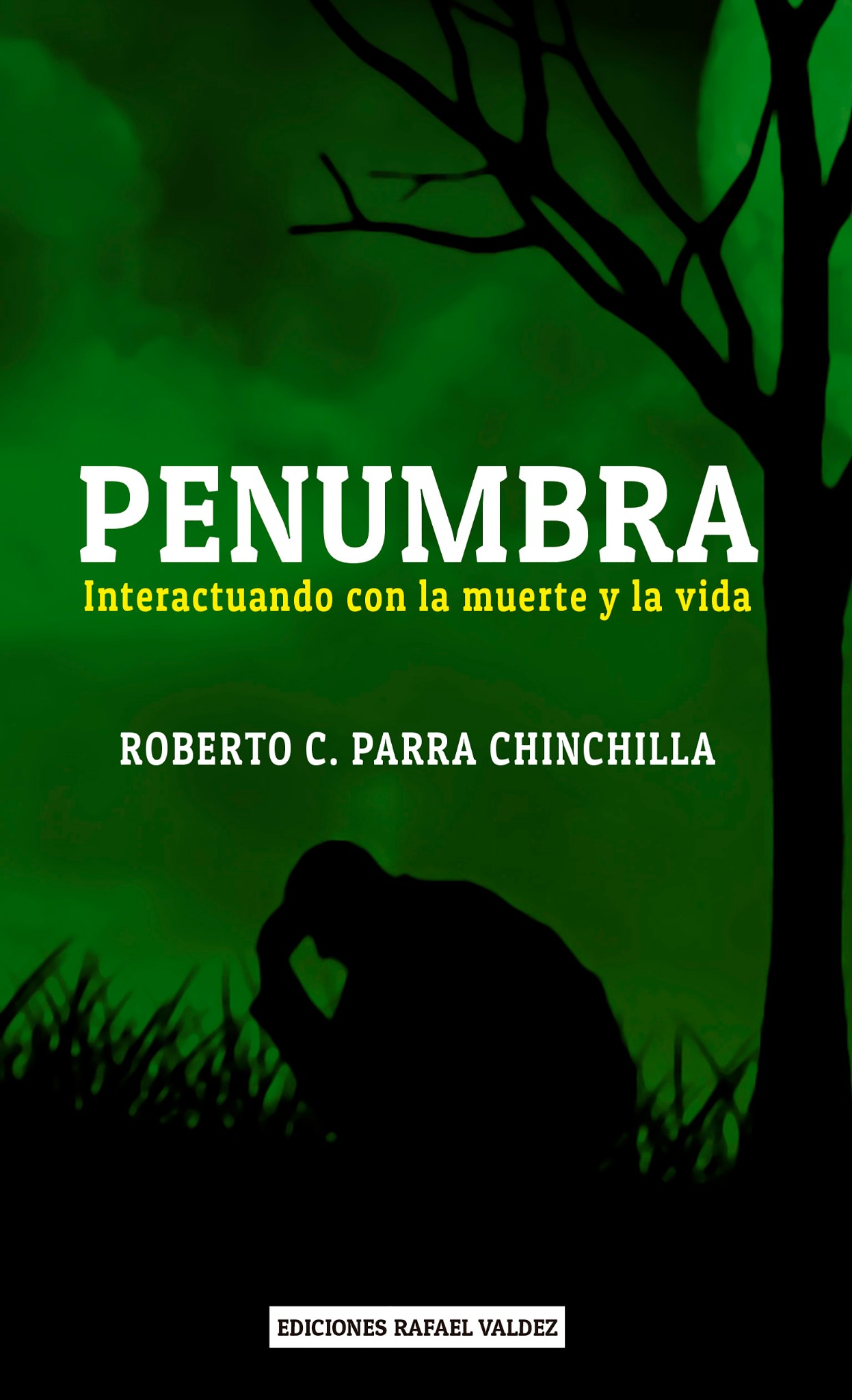 Penumbra: interactuando con la muerte y la vida